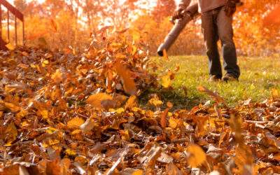 leaf removal service minessota