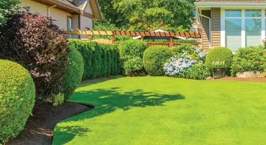 Lawn care deals and landscaping