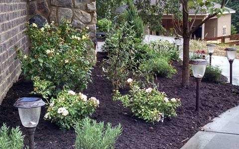 minessota mulching service