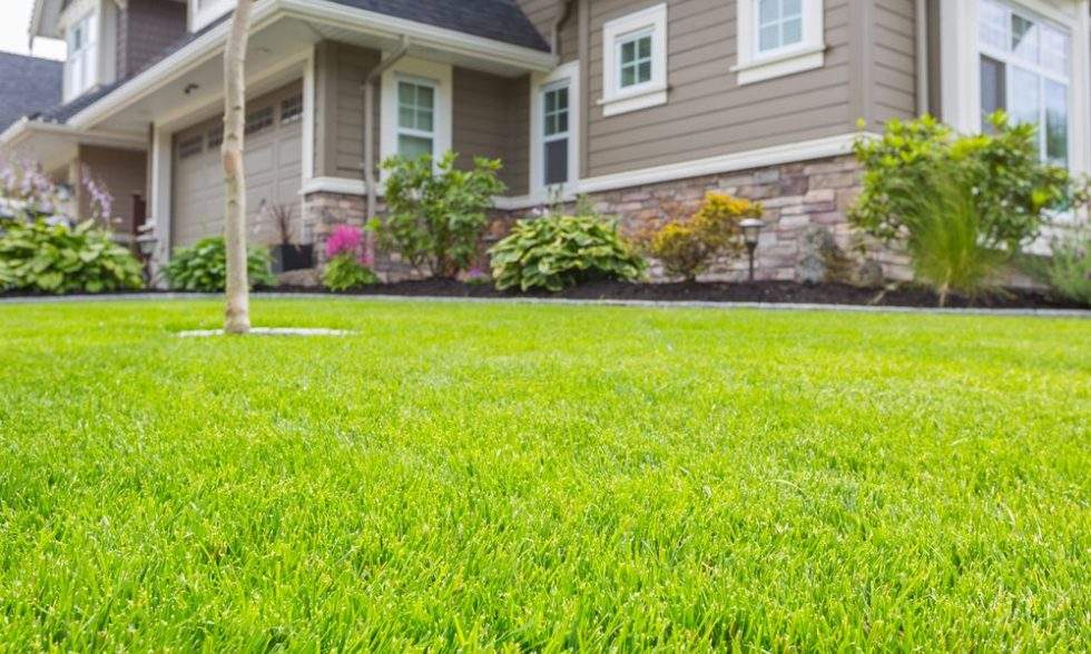 Sod Installation Green Grounds Landscaping LLC