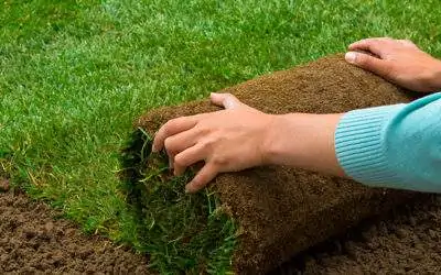 sod installation service minessota