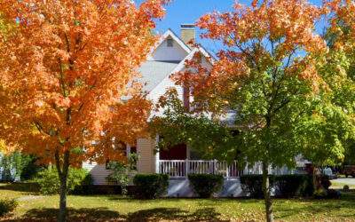 Landscaping Minnesota on a Budget