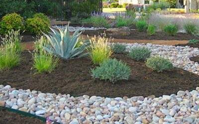 Rock Vs Mulch In Planting Beds: Which Is Better?