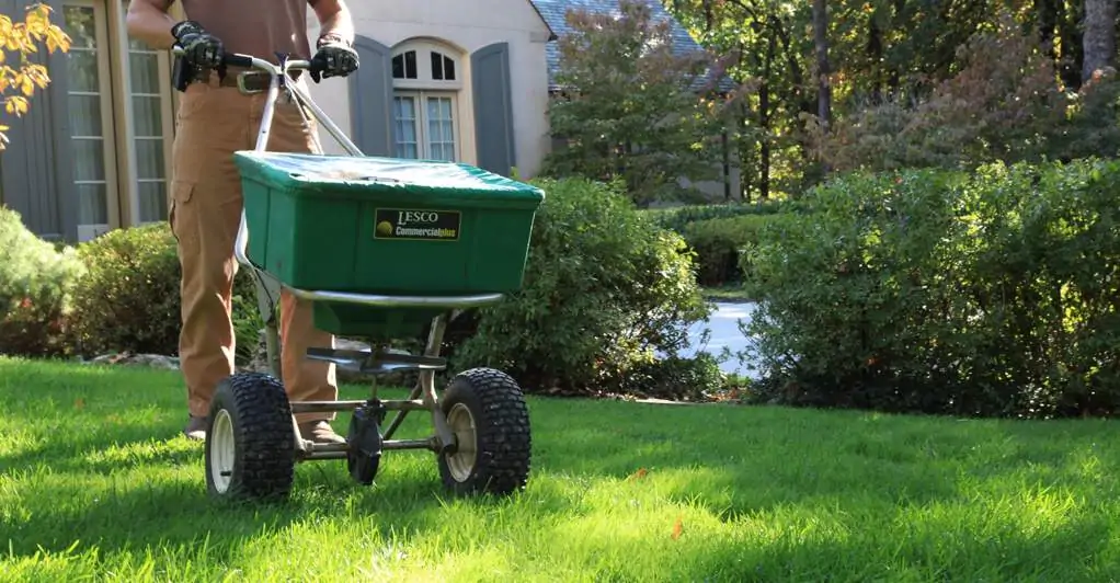 lawn fertilization