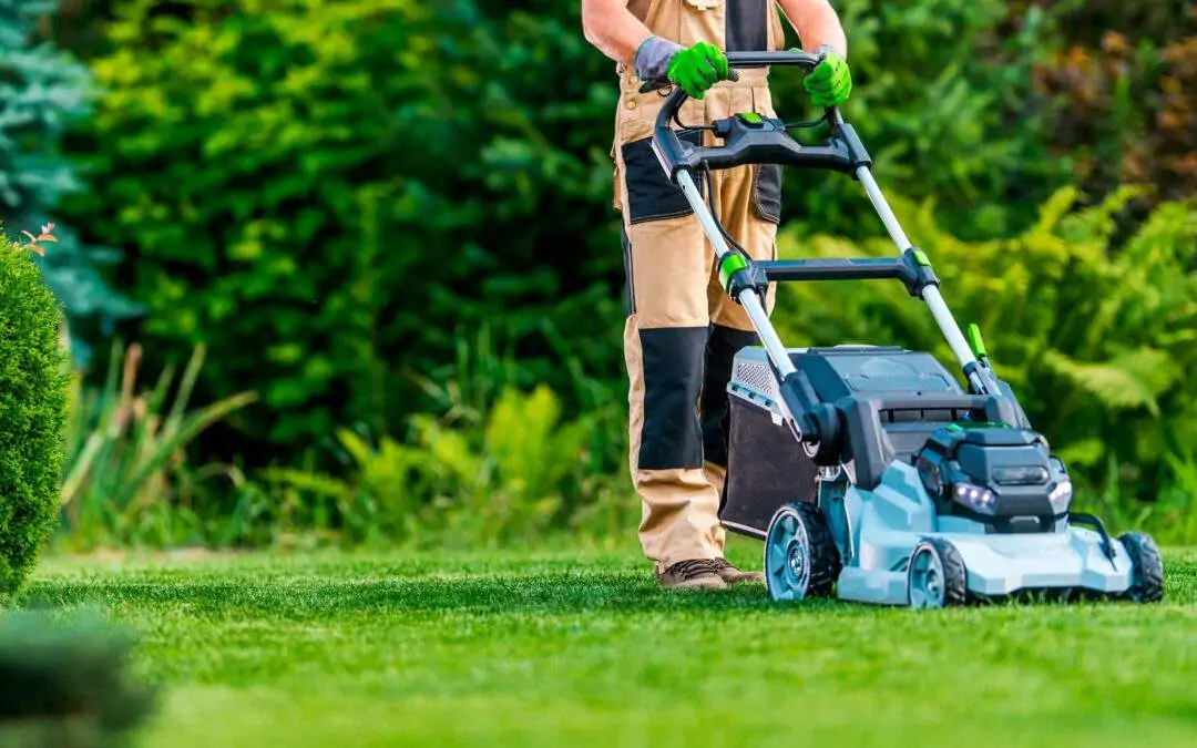 mowing alternatives