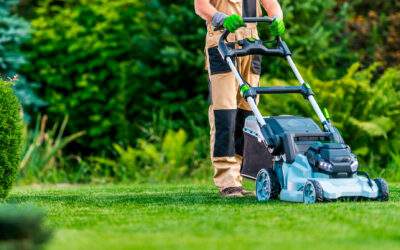 Mowing Alternatives: Why Is Mowing The Right Height And In Alternating Patterns Important?