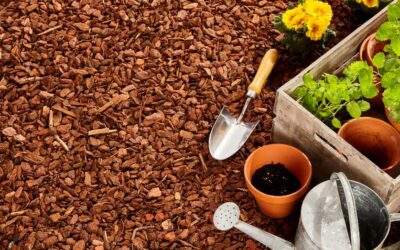 How To Use Mulch to Keep Your Property Looking its Best