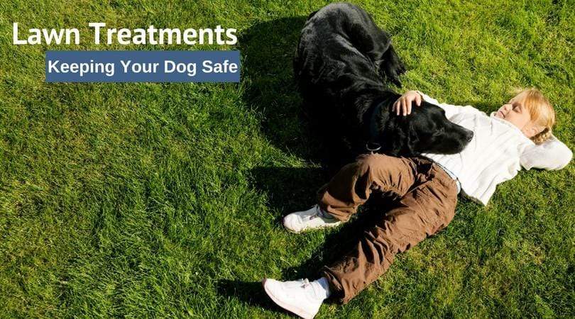 keep pets safe during lawn care treatments