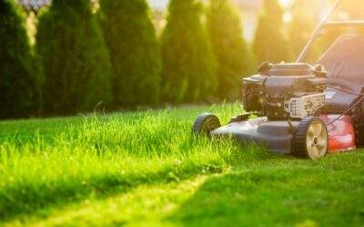 Fall Lawn Care Checklist for Minnesota