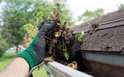 Reasons and Cost to Hire a Gutter Cleaning Service in Minnesota