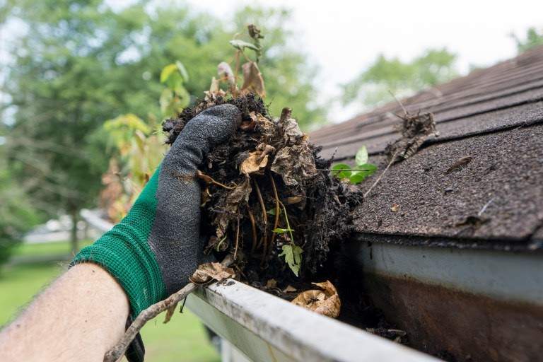 Reasons and Cost to Hire a Gutter Cleaning Service in Minnesota