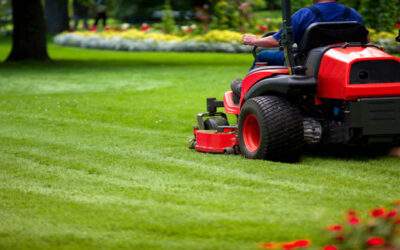 Minnesota Lawn Mowing Companies Mistakes: 3 Most Damaging Mistakes