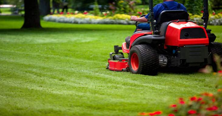 Minnesota Lawn Mowing Companies Mistakes: 3 Most Damaging Mistakes