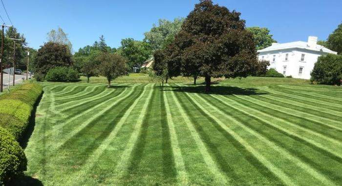 mowing lawn