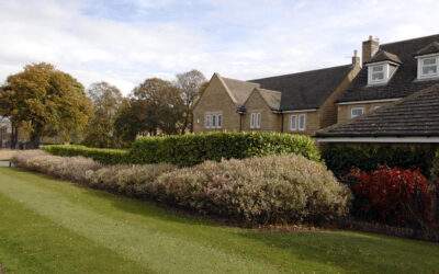 Estate Landscape Maintenance: Why Is Important