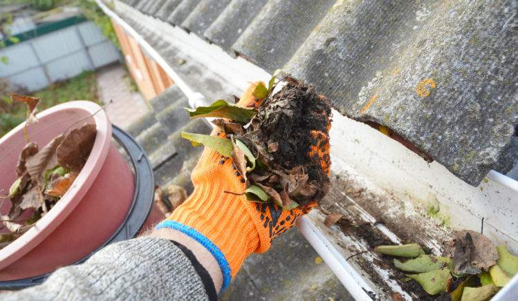 prevent clogged gutters