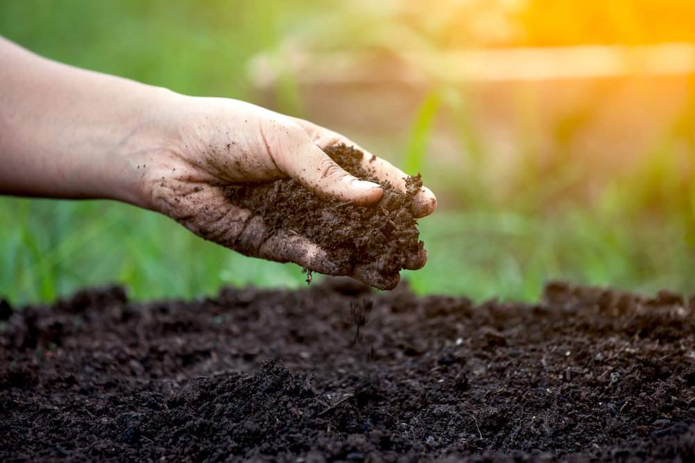 Enhancing Your Soil