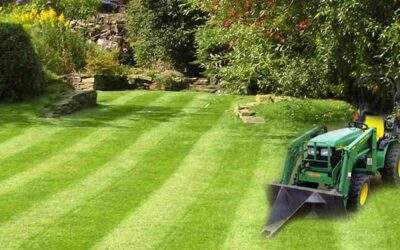 Are You Ready For Spring? Some Useful Tips & Tricks To Help Manage A Healthy Lawn This Season