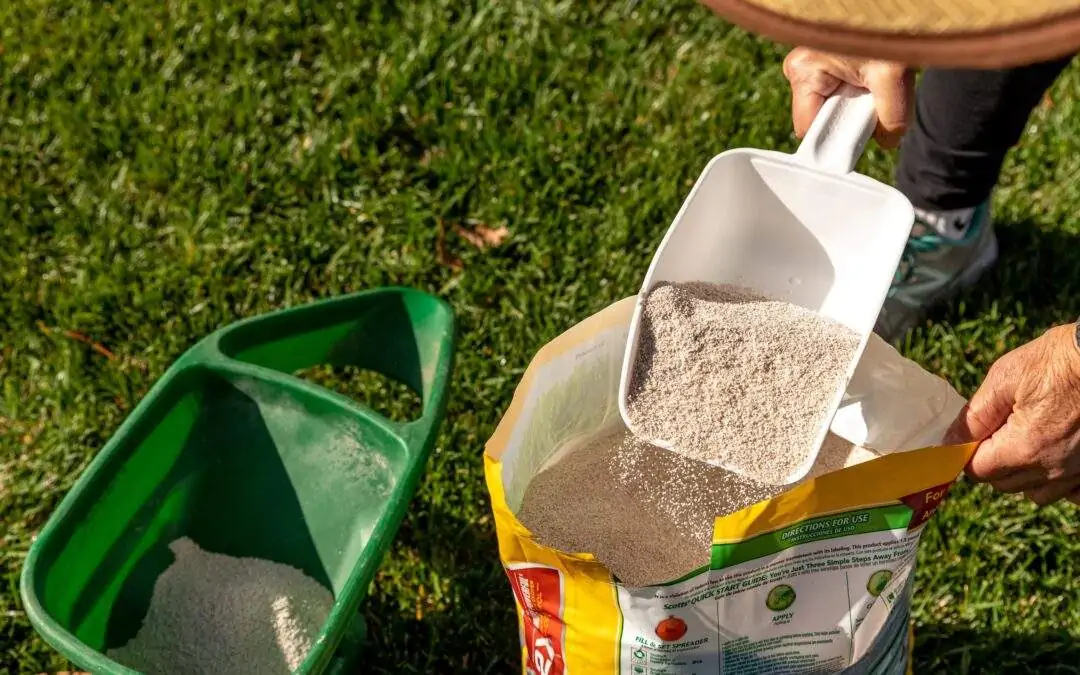 lawn fertilizer schedule