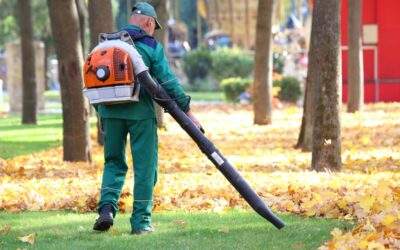 Leaf Removal Service Minnesota