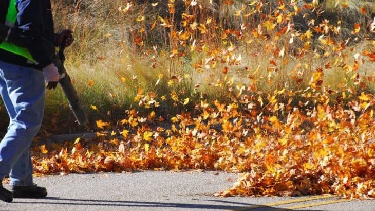 What’s the Best Way to Get Rid of Leaves On Your Lawn?