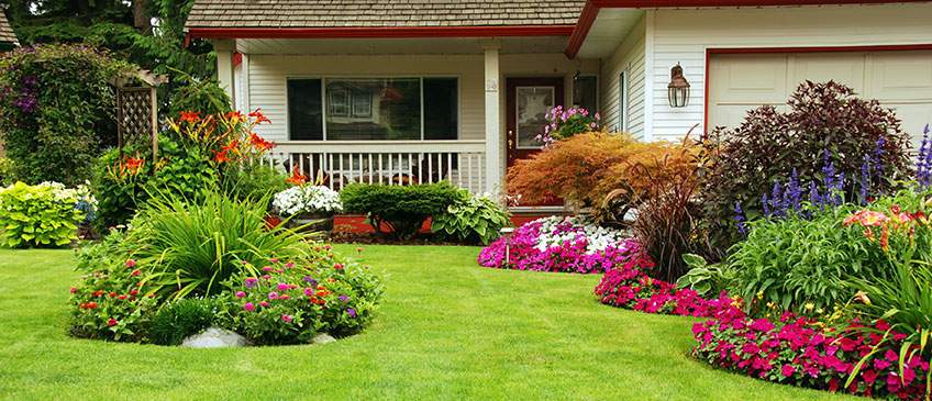 What is Landscape Maintenance & What are its Benefits?