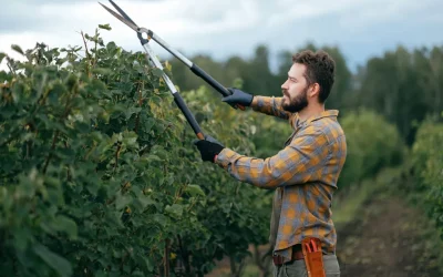 Minnesota Garden Pruning: 5 Tips That Will Have You Pruning Like a Pro This Season!