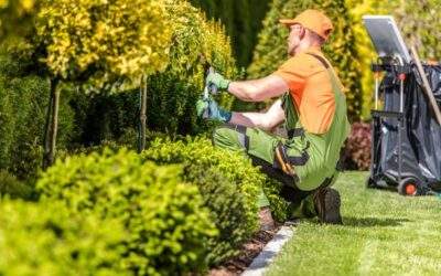 Minnesota Landscaping Project For Spring: What You Need To Know