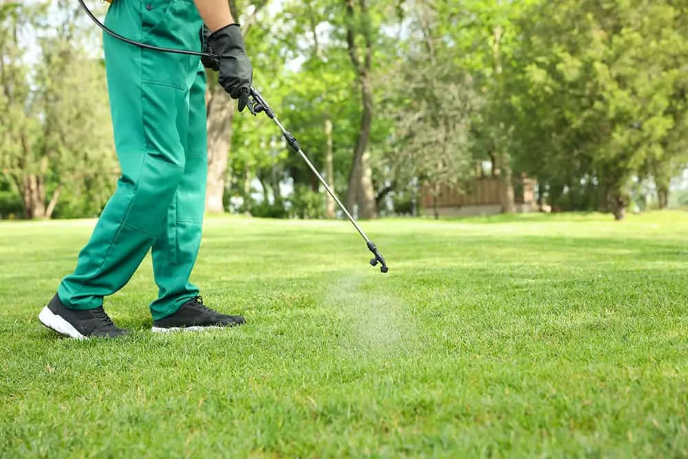 pre-emergent weed control