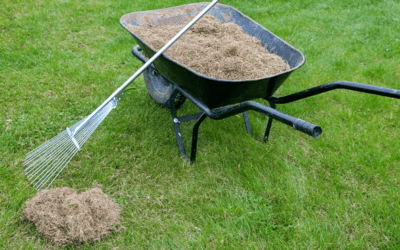 Spring Yard Cleanup Checklist