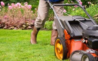 Professional Minnesota Landscape Maintenance vs. DIY: 5 Key Considerations