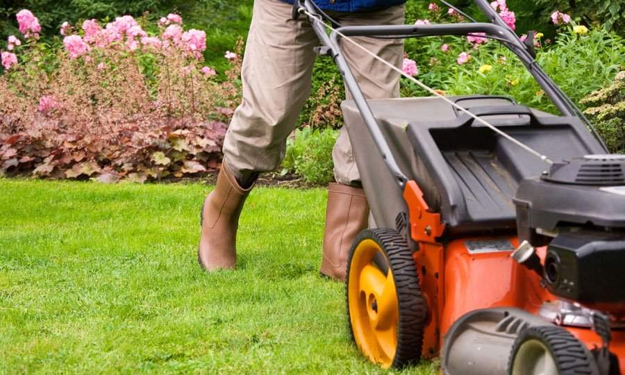 Professional Minnesota Landscape Maintenance vs. DIY: 5 Key Considerations