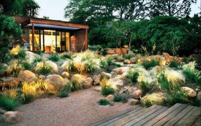 5 Best Tips For Maintaining An Eco Friendly Lawn In Minnesota