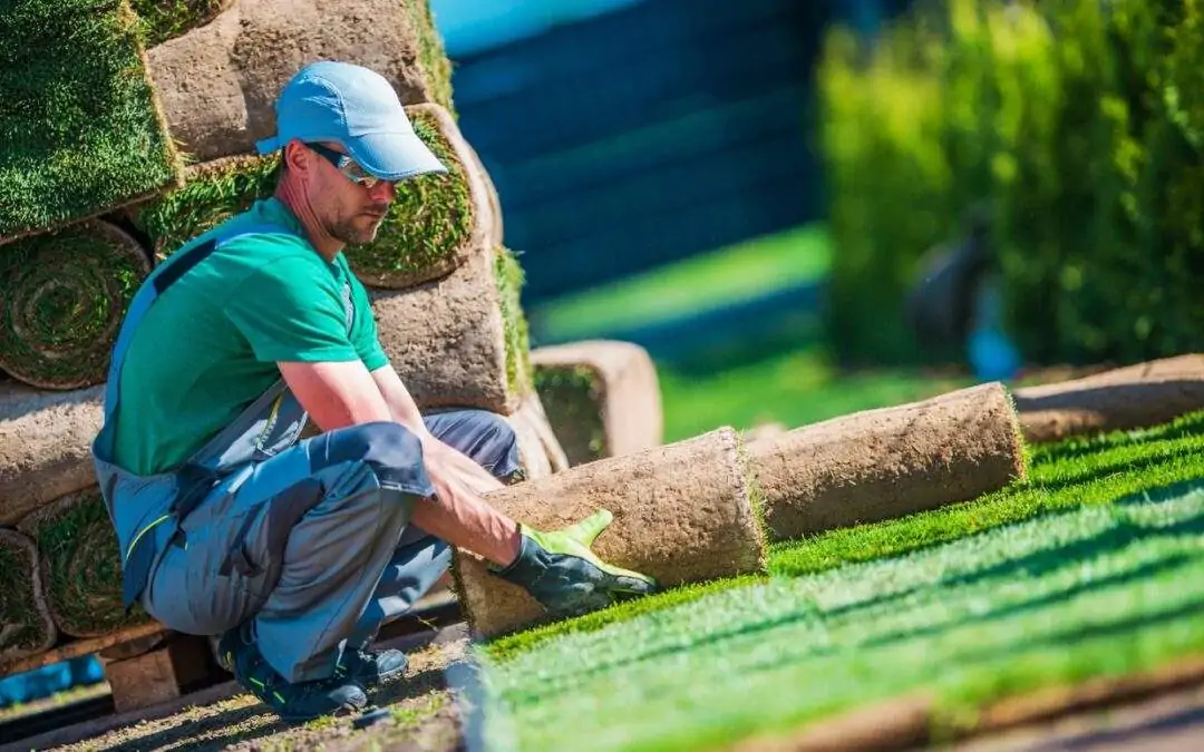 minnesota landscaper