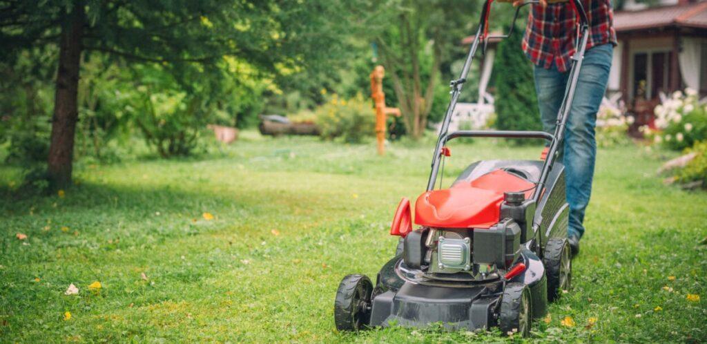 spring lawn care in minnesota