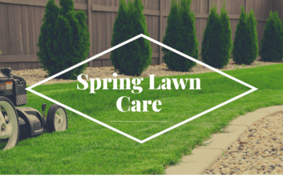 Pro Tips: Early Spring Lawn Care In Minnesota