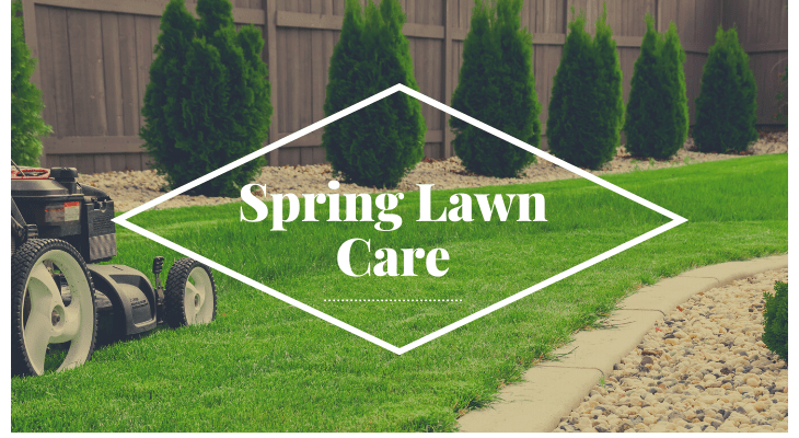 Pro Tips: Early Spring Lawn Care In Minnesota