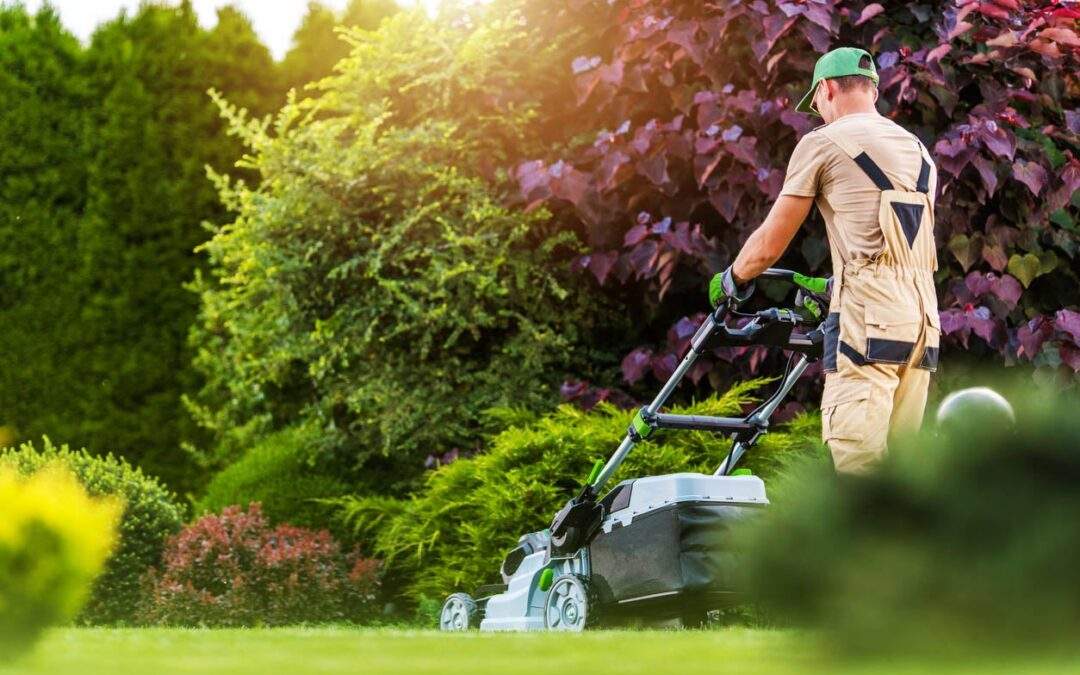 Mowing Your Lawn: 4 Tips and Tricks For Proper Lawn Mowing In Minnesota