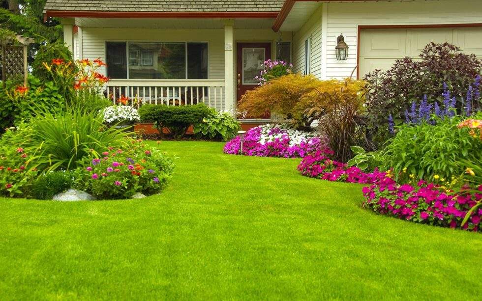 5 Pro Tips For A Healthy Green Lawn – Green Grounds Landscaping LLC