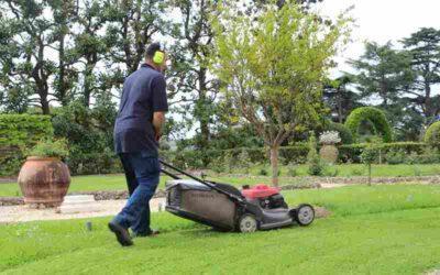 7 Landscape Maintenance Practices Homeowners Should Know