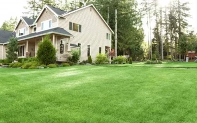 How Consistent Landscaping and Lawn Care Boosts Your Home’s Value