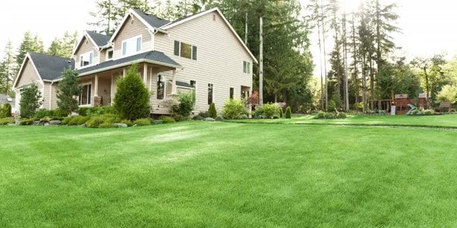 landscaping and lawn care