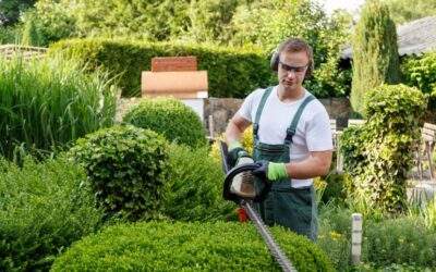 Best Tips for Hiring a Minnesota Commercial Landscape Maintenance Company