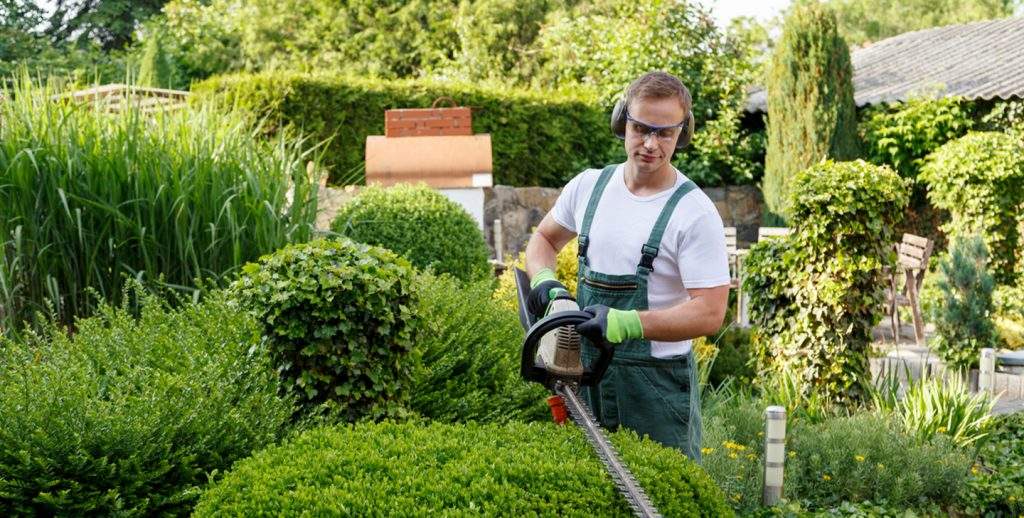 Best Tips for Hiring a Minnesota Commercial Landscape Maintenance Company