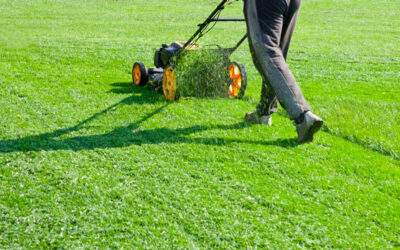 Advanced Lawn Management: More Than Mowing