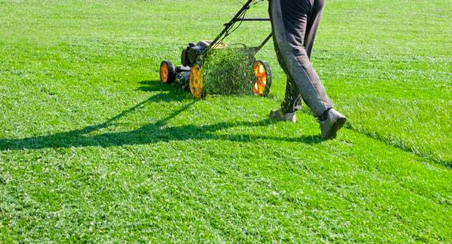 Advanced Lawn Management: More Than Mowing