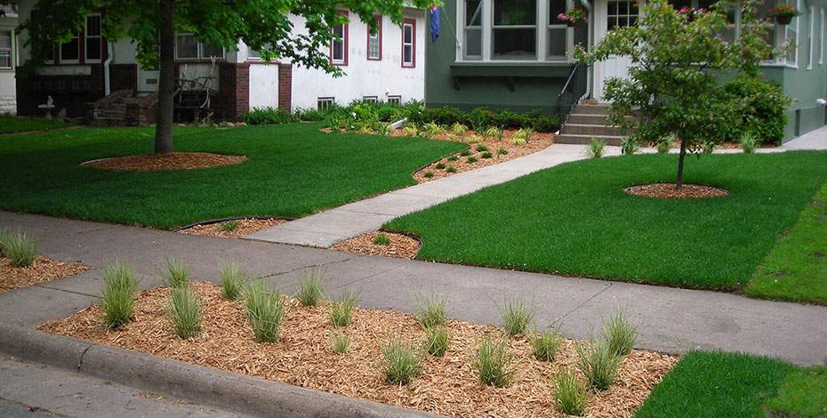 autumn lawn care