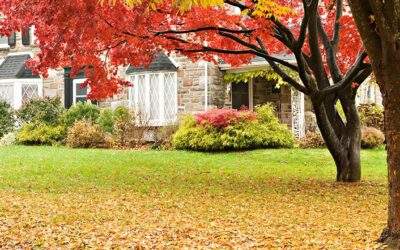 Autumn Lawn Care 3 Best Practices In Minnesota