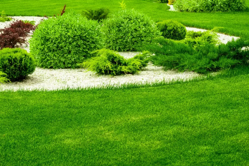 September is Lawn Renovation Time in Minnesota Green Grounds