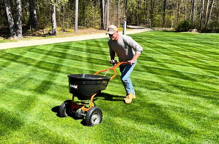 fertilize your lawn